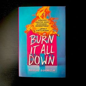 Burn It All Down by Nicholas DiDomizio